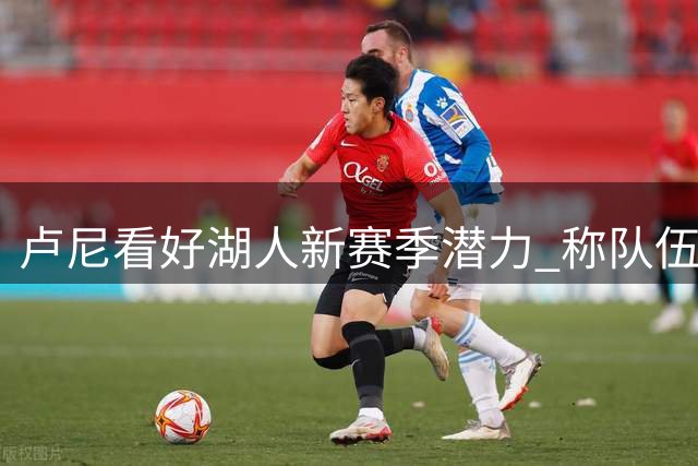 卢尼看好湖人新赛季潜力 称队伍有望创造佳绩